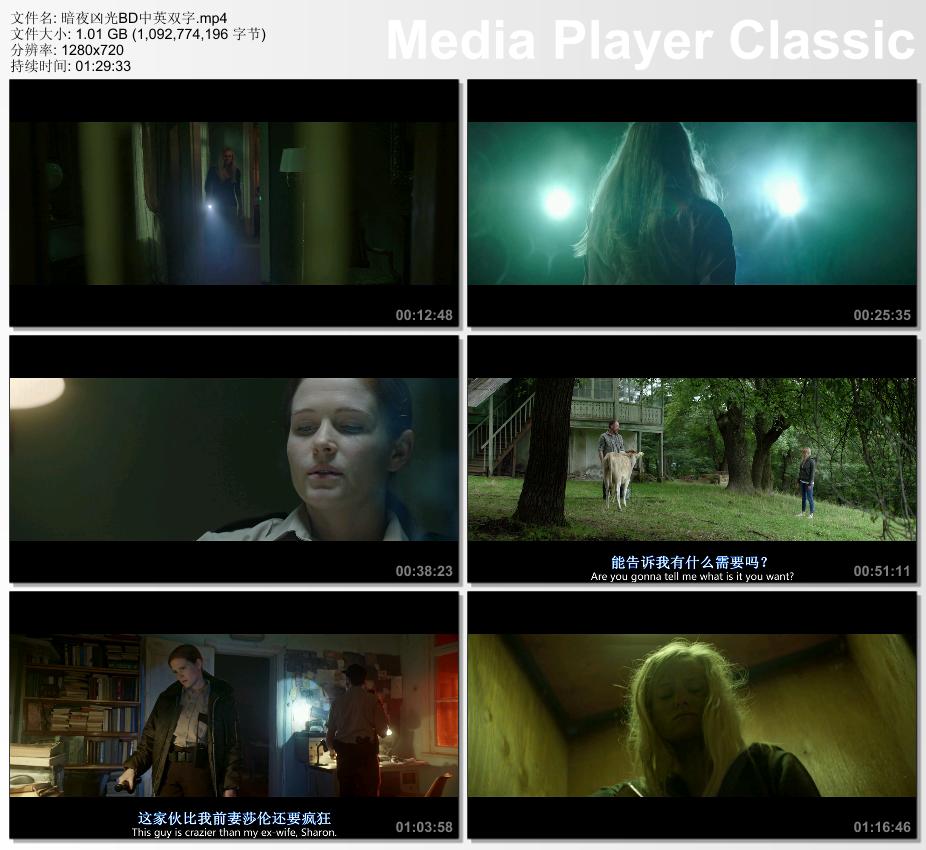 2019年美国科幻惊悚片《暗夜凶光》 2019年美国科幻惊悚片《暗夜凶光》